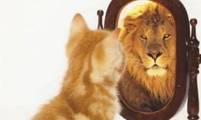 selvværd